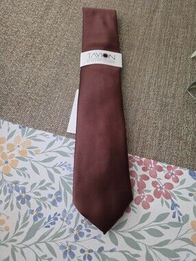 Tayion Men's Brown Tie